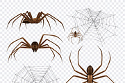 Spiders realistic set