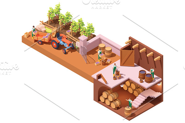 Vector isometric winery and wine
