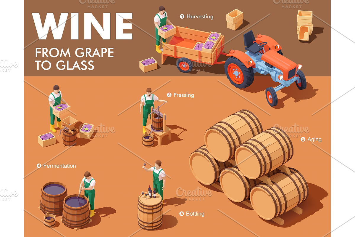 Vector isometric wine making process in Illustrations - product preview 8