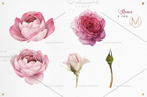 Flower set (23 PNG) in Illustrations - product preview 1