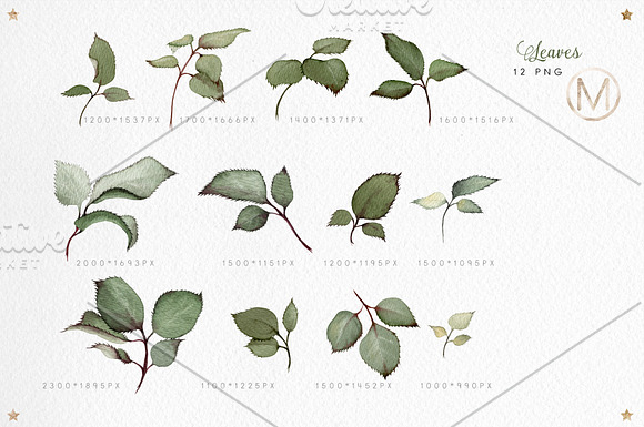 Flower set (23 PNG) in Illustrations - product preview 3