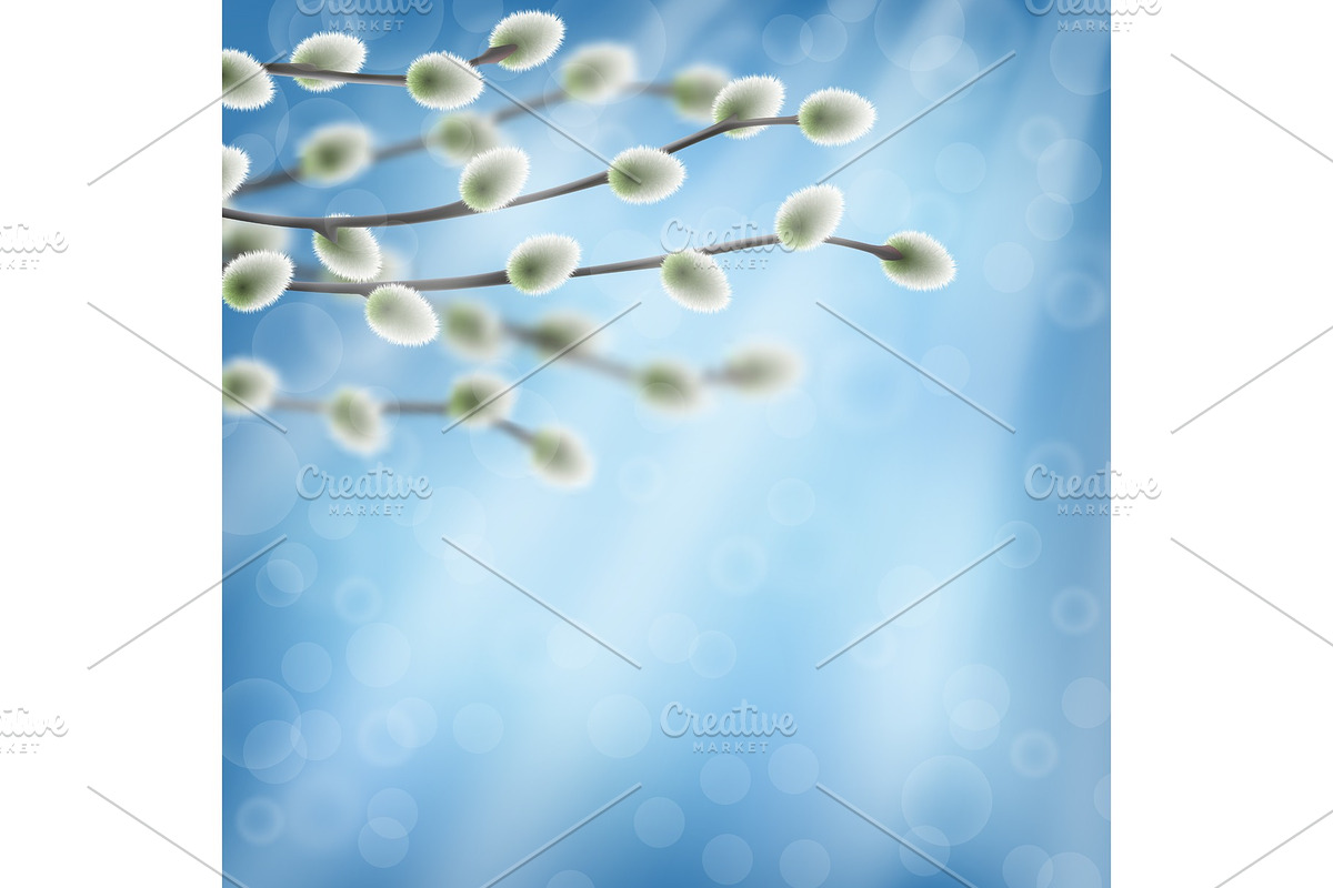 Willow branches on blue sky with in Objects - product preview 8