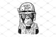 Monkey in soldier helmet. Vintage