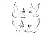 White doves with olive branch
