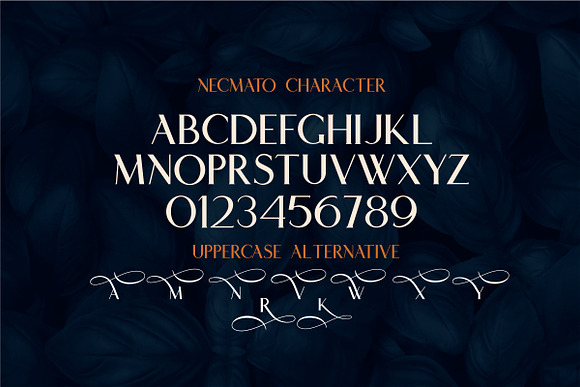 Necmato Art Deco Feel in Serif Fonts - product preview 8