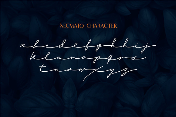 Necmato Art Deco Feel in Serif Fonts - product preview 9