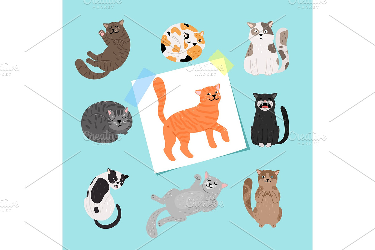 Shorthaired cats illustration in Illustrations - product preview 8