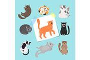 Shorthaired cats illustration