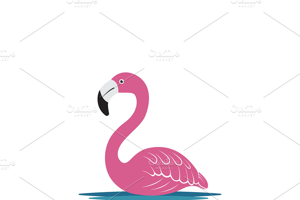 Vector of flamingo design. Birds. in Illustrations - product preview 8