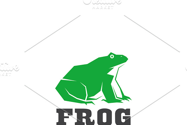Vector of a frog design. Amphibian.