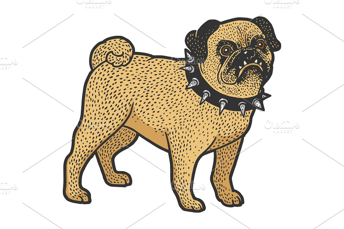 Angry pug in spiked collar sketch in Illustrations - product preview 8