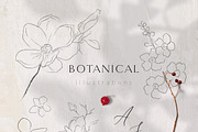 Line Drawing Botanicals, Plants