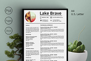 Lake Brave Resume CV 5 Pack