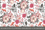 Set Seamless Flowers Dogrose Croton