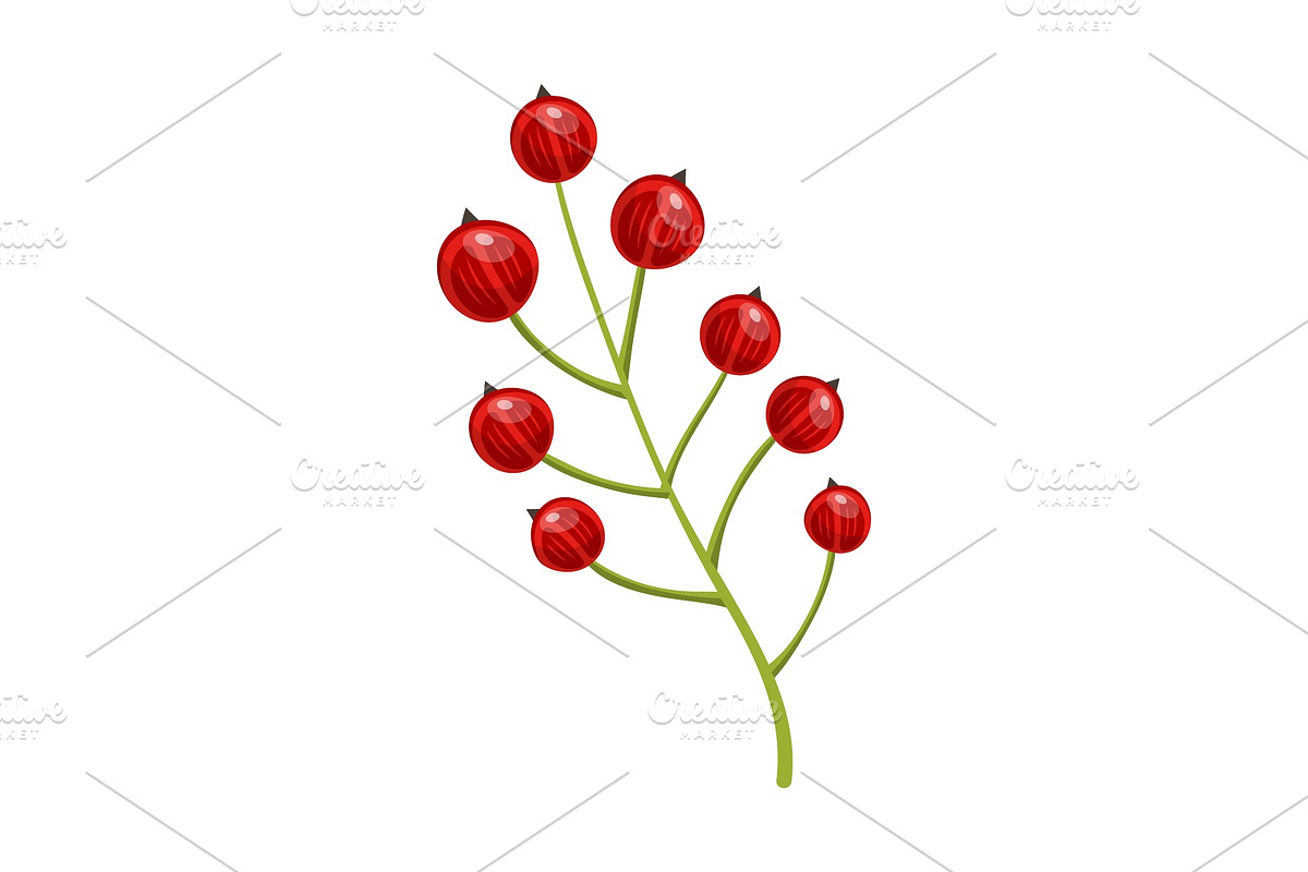Red currant berries. Set of in Illustrations - product preview 8