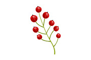 Red currant berries. Set of