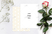 Red-white Rose and Paper Mock up