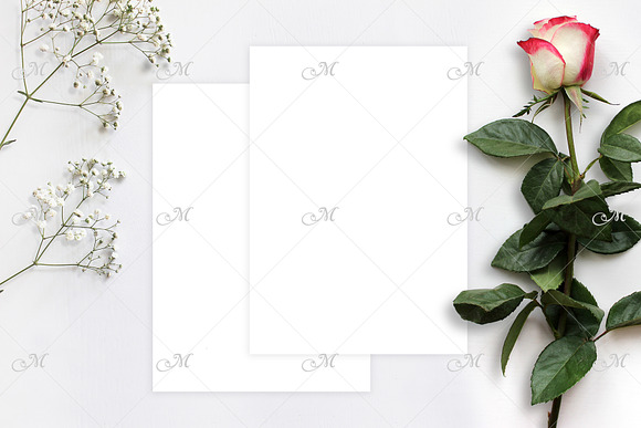 Red-white Rose and Paper Mock up in Product Mockups - product preview 1