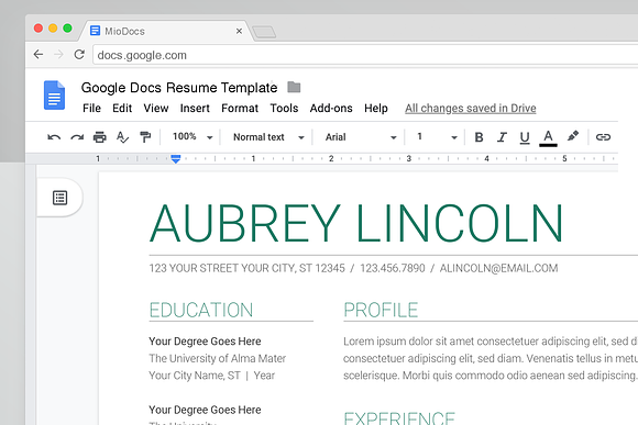 Google Docs Resume Template in Resume Templates - product preview 6