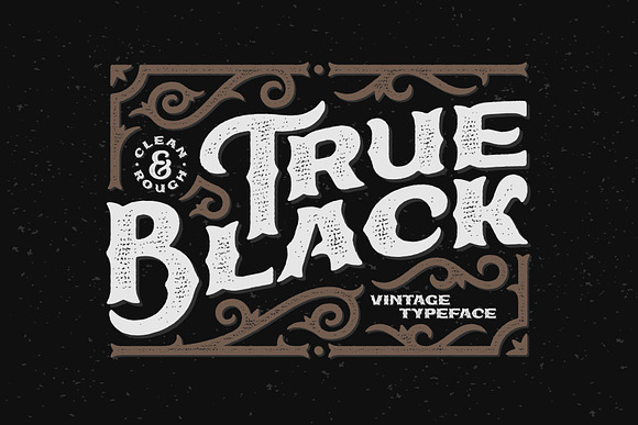 Vintage Fonts Bundle. 83% OFF! in Display Fonts - product preview 3