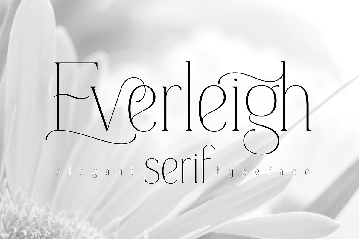 Everleigh Serif font in Serif Fonts - product preview 8