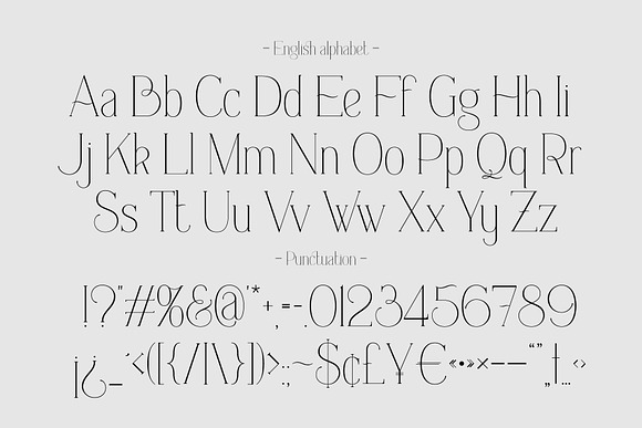 Everleigh Serif font in Serif Fonts - product preview 5
