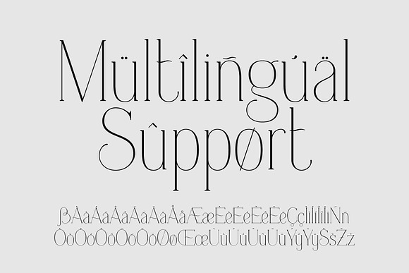 Everleigh Serif font in Serif Fonts - product preview 7