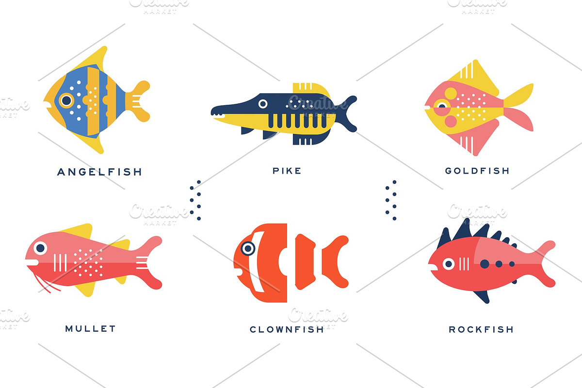 Freshwater and Ocean Fishes in Illustrations - product preview 8