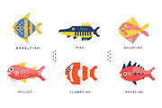 Freshwater and Ocean Fishes