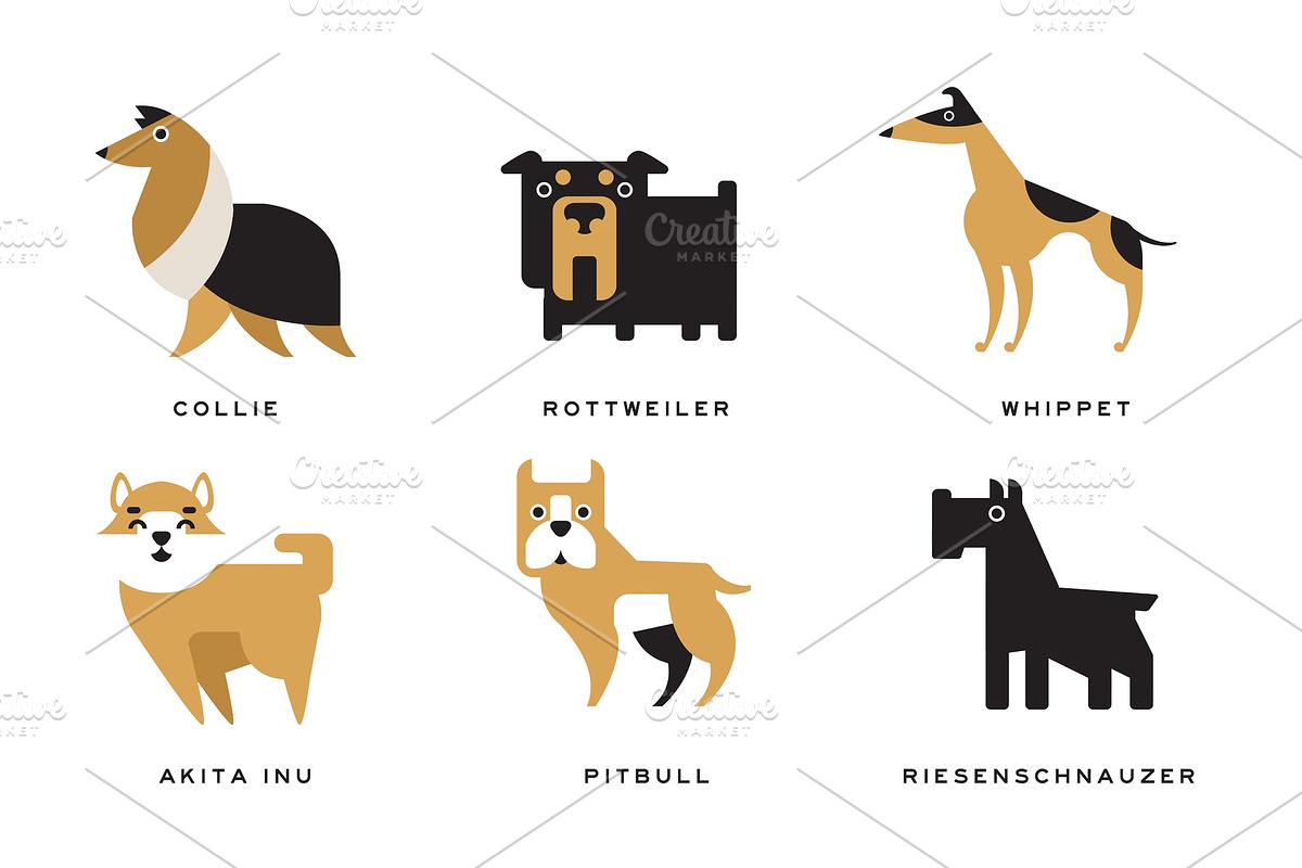 Breeds of Dogs Collection, Collie in Illustrations - product preview 8