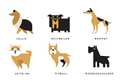 Breeds of Dogs Collection, Collie