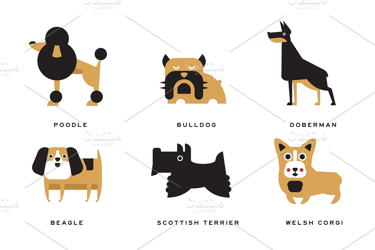 Breeds of Dogs Collection, Poodle in Illustrations - product preview 8
