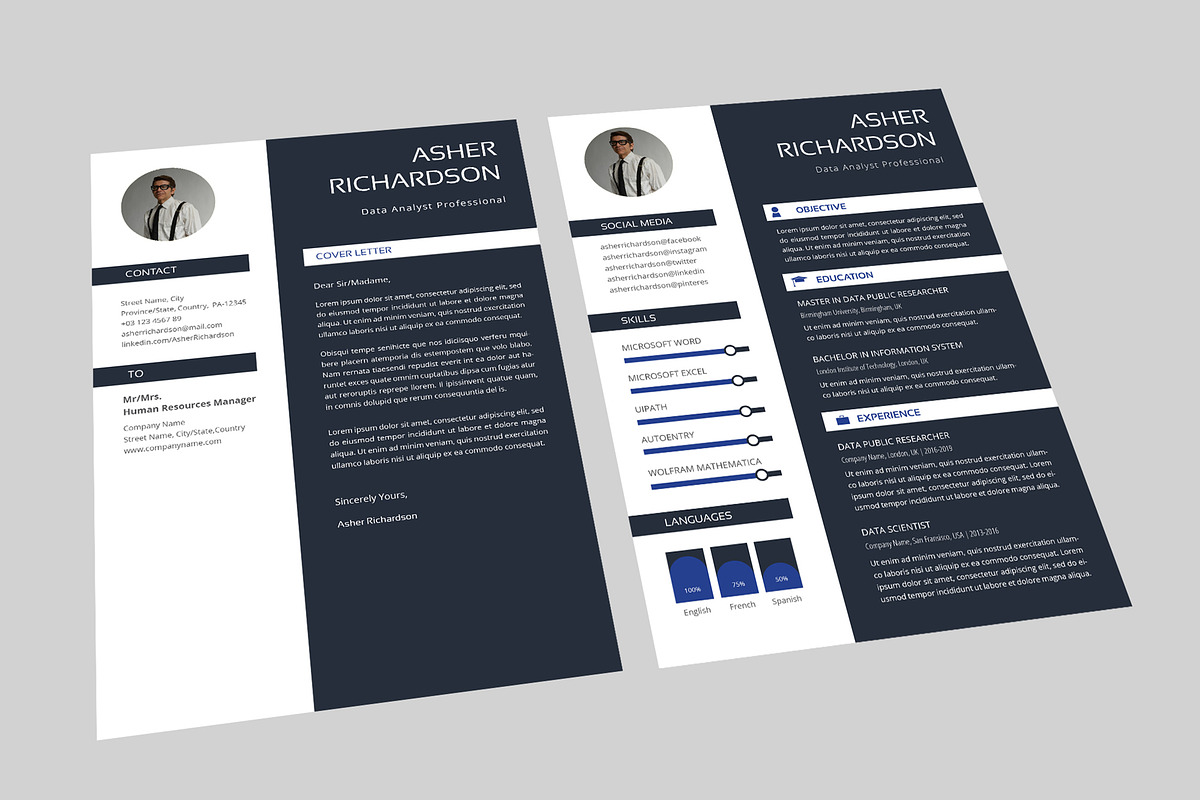 Asher Data Analyst Resume Designer in Resume Templates - product preview 8
