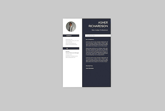 Asher Data Analyst Resume Designer in Resume Templates - product preview 1