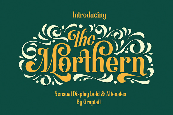 Morthern Font + Extras in Display Fonts - product preview 13