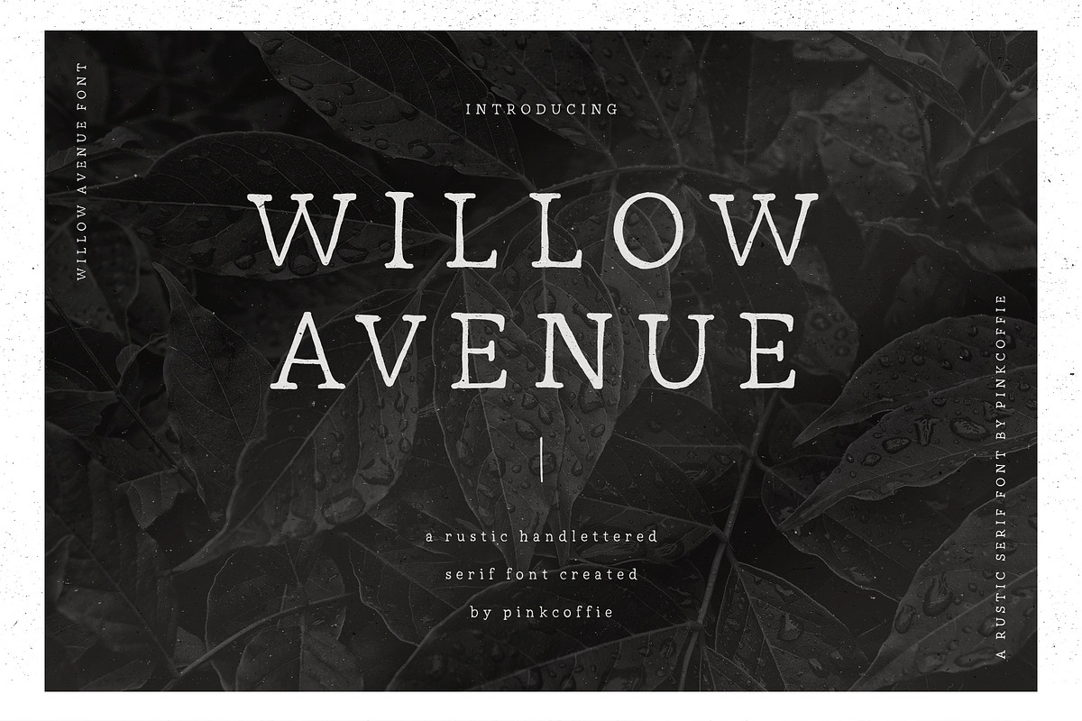 Willow Avenue | Hand-lettered Serif in Serif Fonts - product preview 8