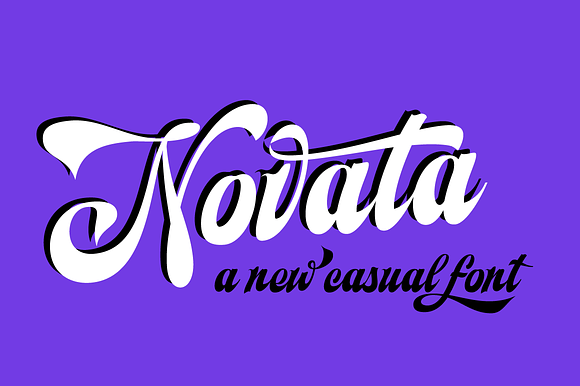 Novata in Script Fonts - product preview 3