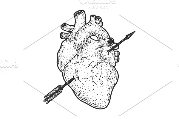 Heart pierced with arrow sketch