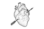 Heart pierced with arrow sketch