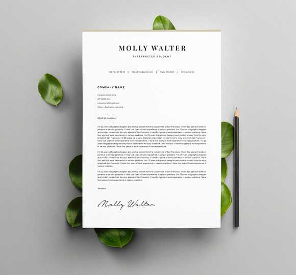 Modern Resume Template " MOLLY" A4 in Resume Templates - product preview 2