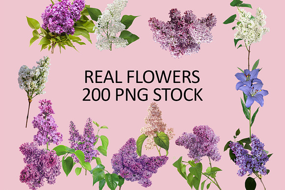 200 Real flowers clipart PNG, Bundle in Objects - product preview 1