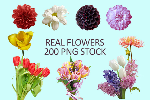 200 Real flowers clipart PNG, Bundle in Objects - product preview 2