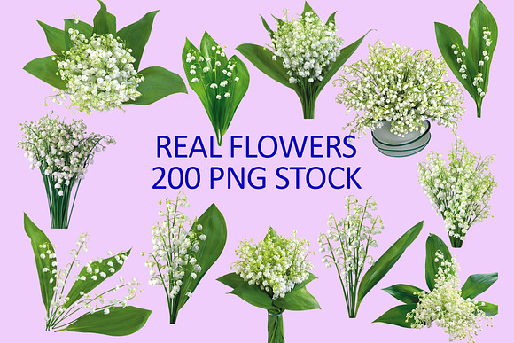 200 Real flowers clipart PNG, Bundle in Objects - product preview 3