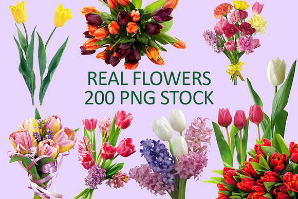 200 Real flowers clipart PNG, Bundle in Objects - product preview 6
