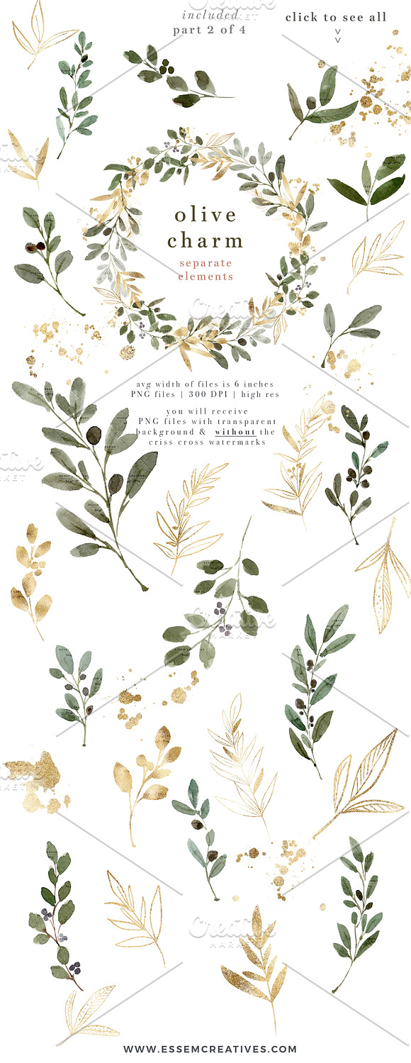 Watercolor Olive Branch Clipart Gold in Illustrations - product preview 4