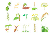 Plant icon set, cartoon style