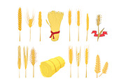 Wheat icon set, cartoon style
