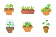 House plant icon set, cartoon style