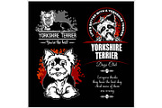 Yorkshire Terrier - vector set for t