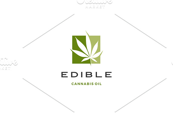cannabis leaf square logo vector